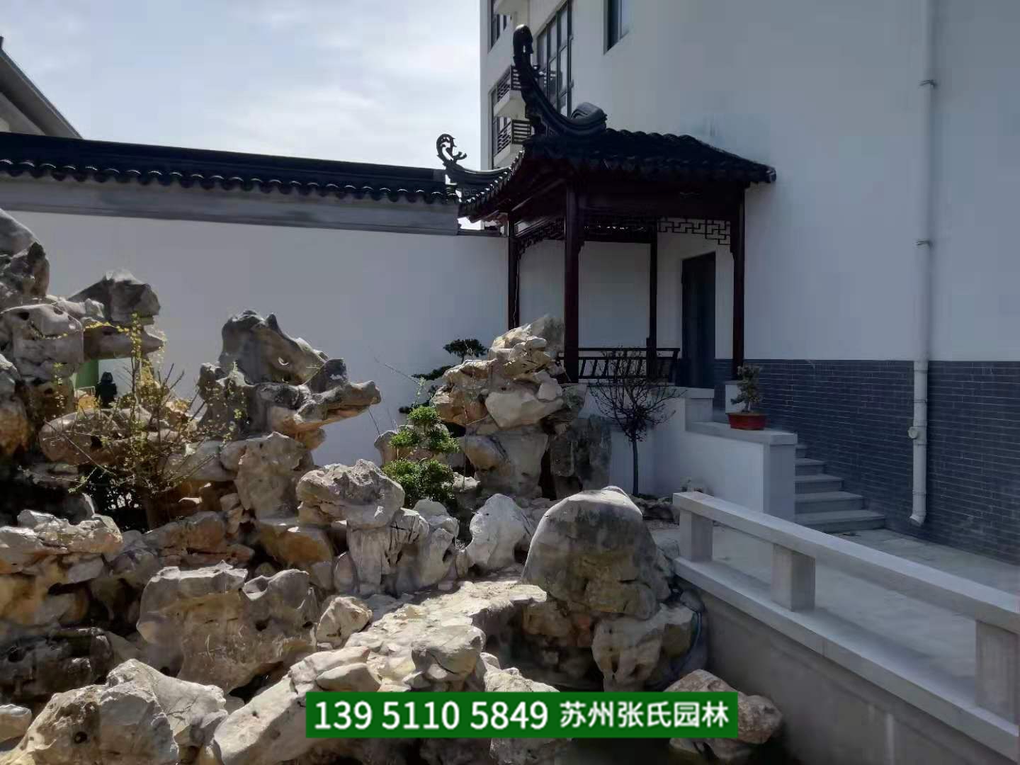 富貴竹水養(yǎng)應(yīng)掌握如下要點(diǎn)
